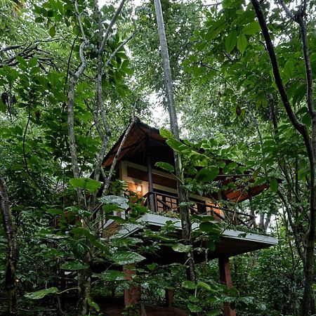Coffee Acres Resort Kalpatta Exterior foto