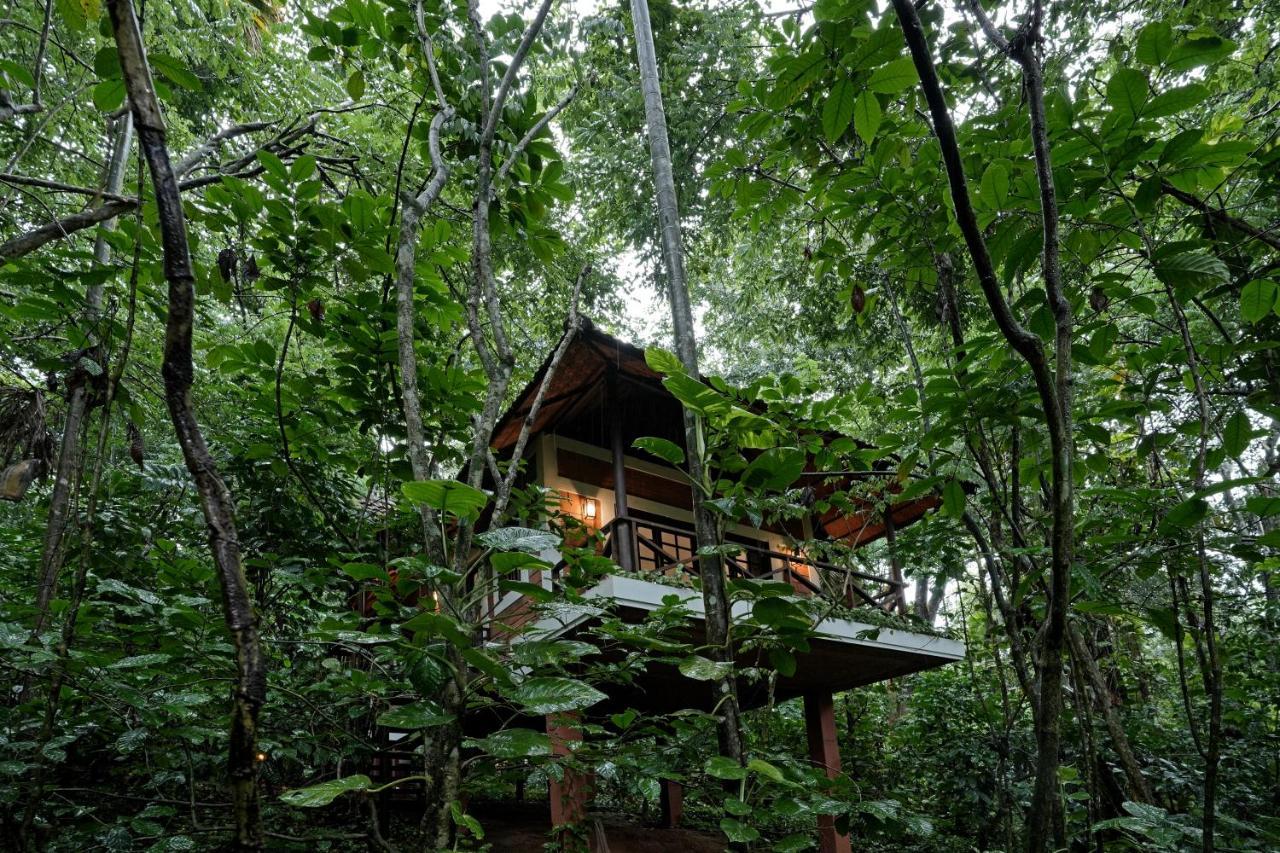 Coffee Acres Resort Kalpatta Exterior foto