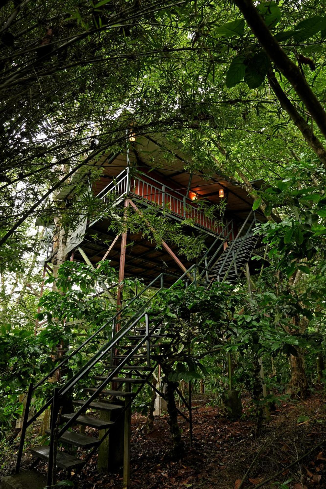 Coffee Acres Resort Kalpatta Exterior foto