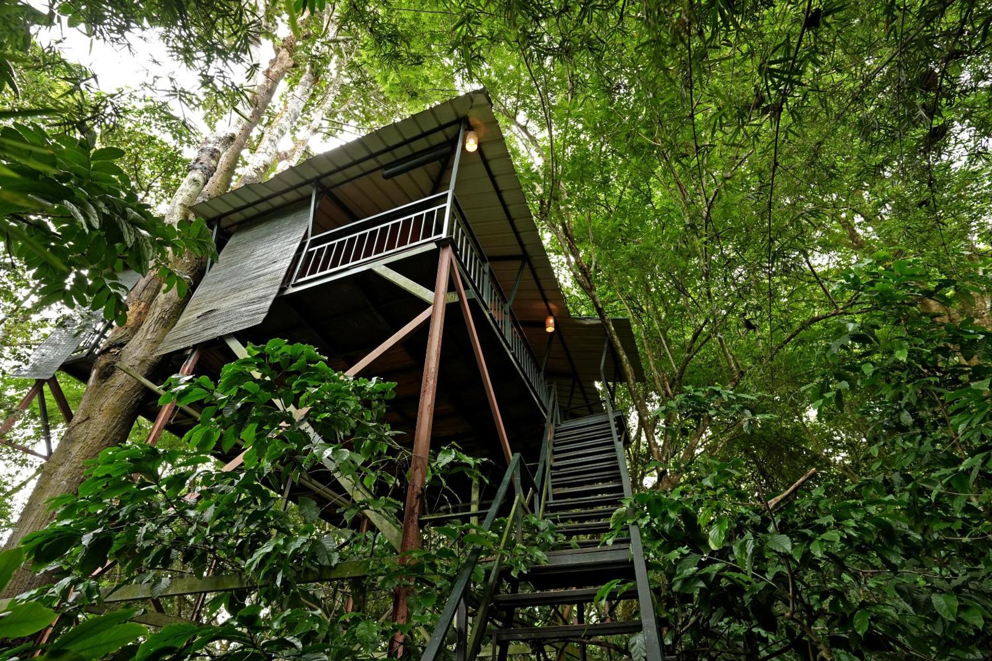 Coffee Acres Resort Kalpatta Exterior foto